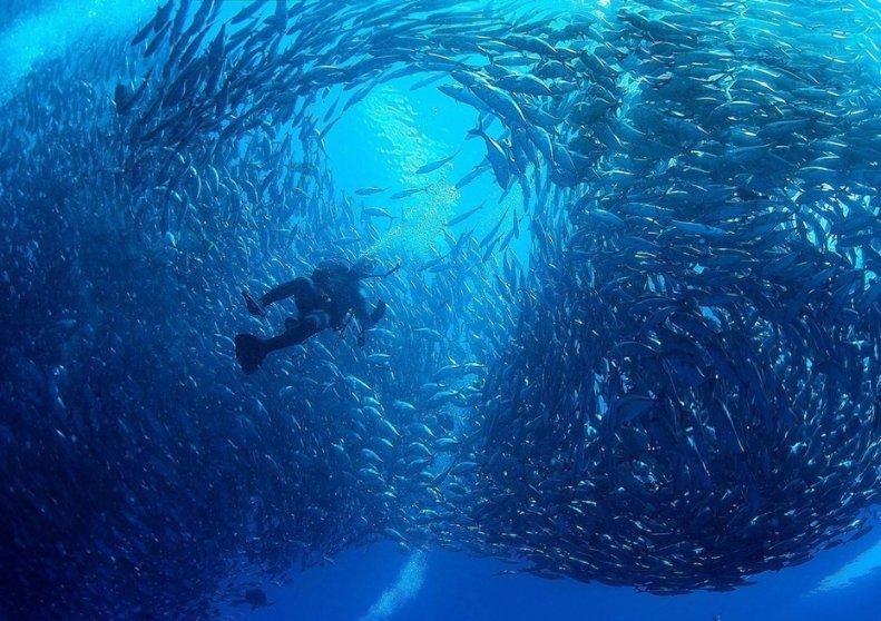 西湖25公里，你能达标吗