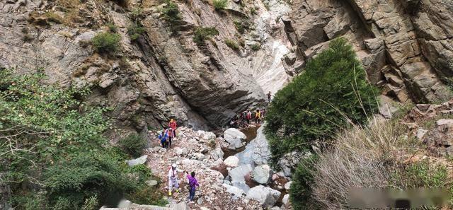 逃出猫头鹰岛