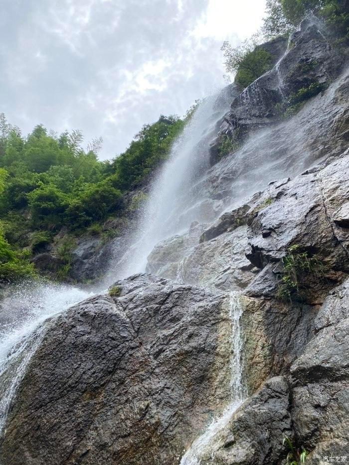 拯救精灵的土地5