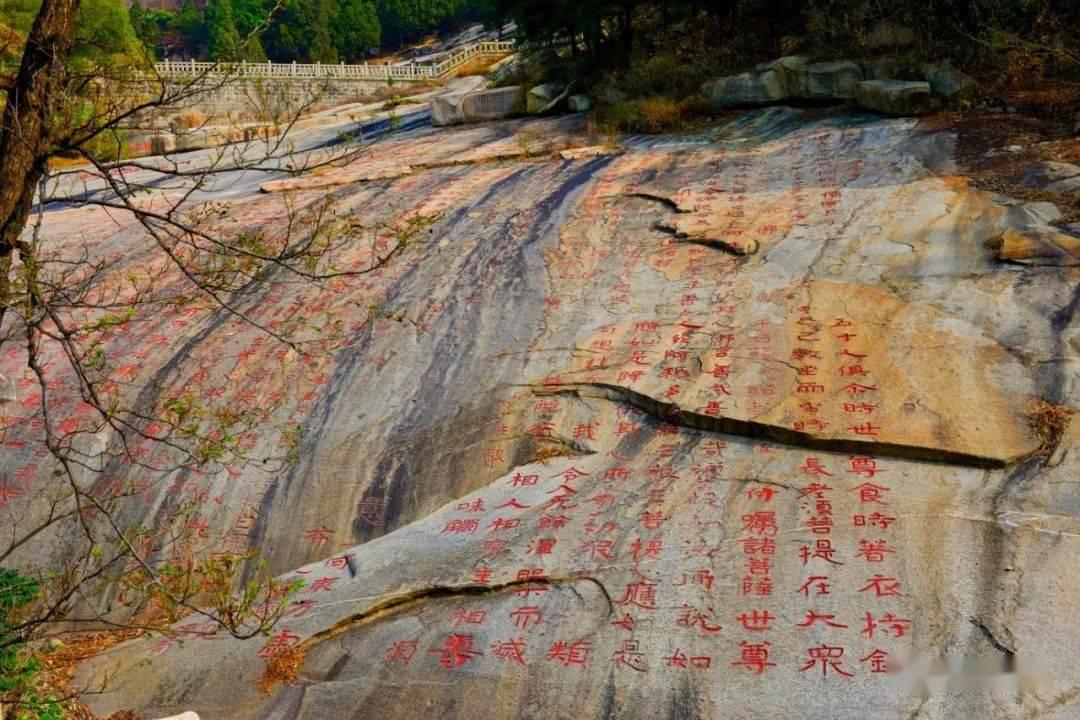 救援男孩贝利